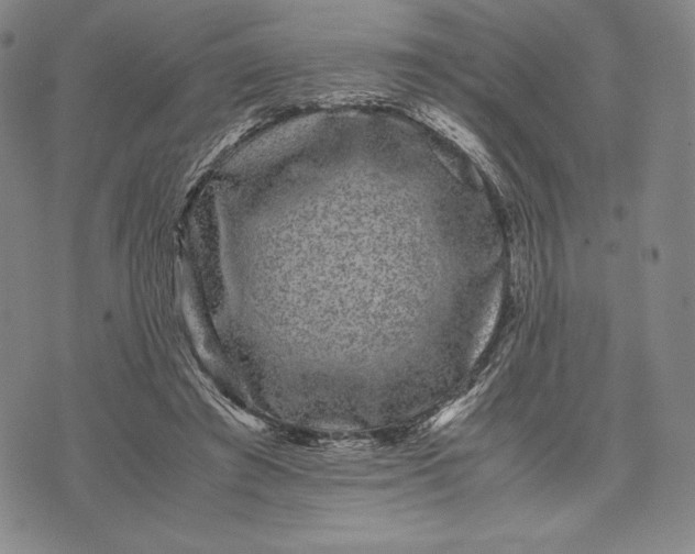 X0000071900401200607281808