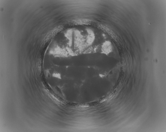 X0000071900402200607281808