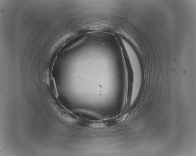 X0000071900403200607281808