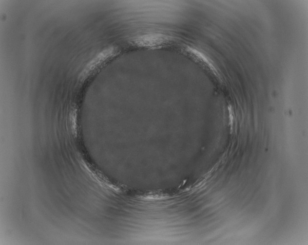 X0000071900404200607281808