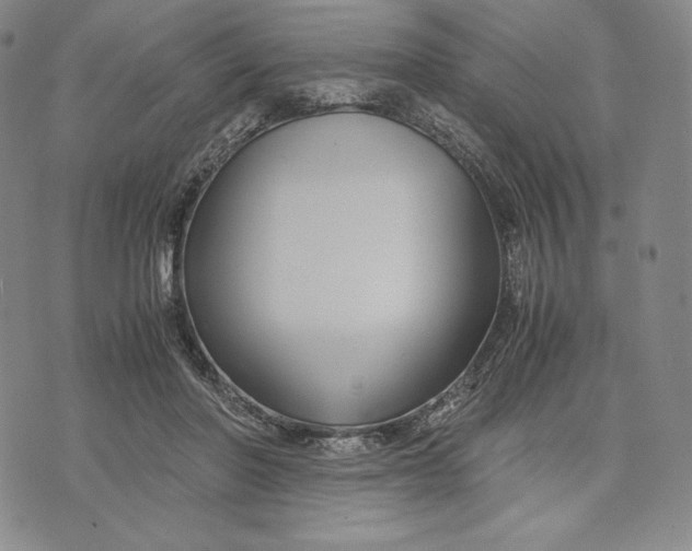 X0000071900406200607281808