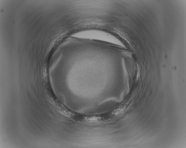 X0000071900407200607281808