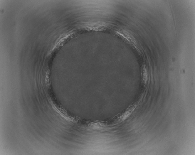 X0000071900408200607281808