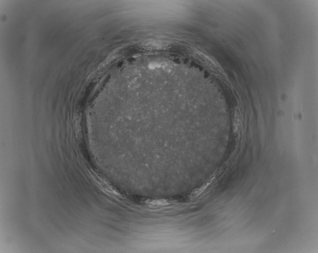 X0000071900409200607281808