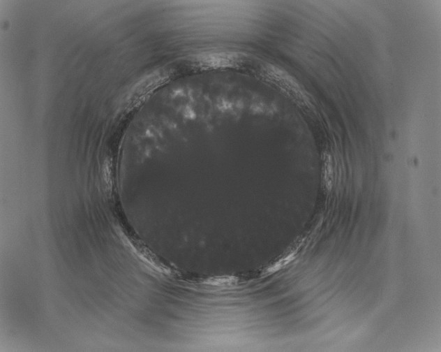 X0000071900410200607281808