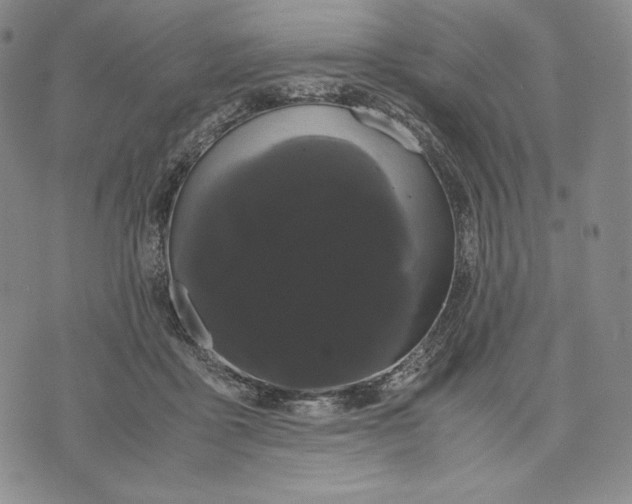 X0000071900411200607281808