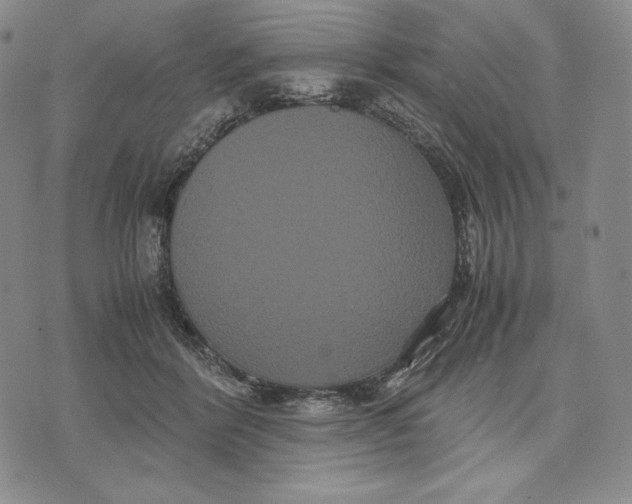 X0000071900412200607281808