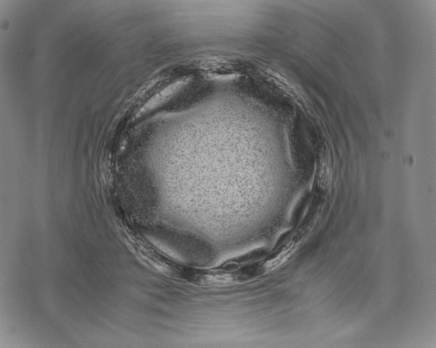 X0000071900413200607281808