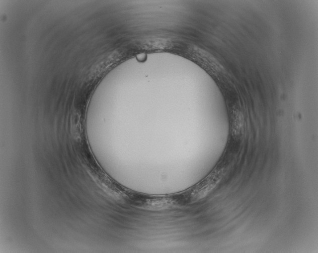 X0000071900414200607281808