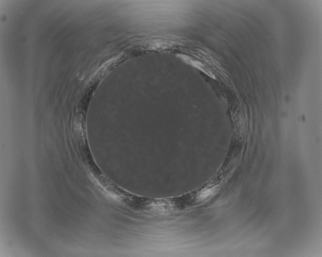 X0000071900415200607281808