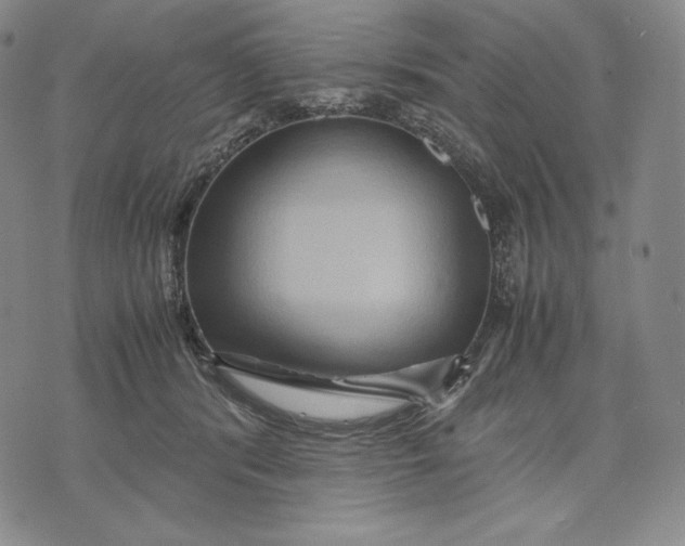 X0000071900416200607281808