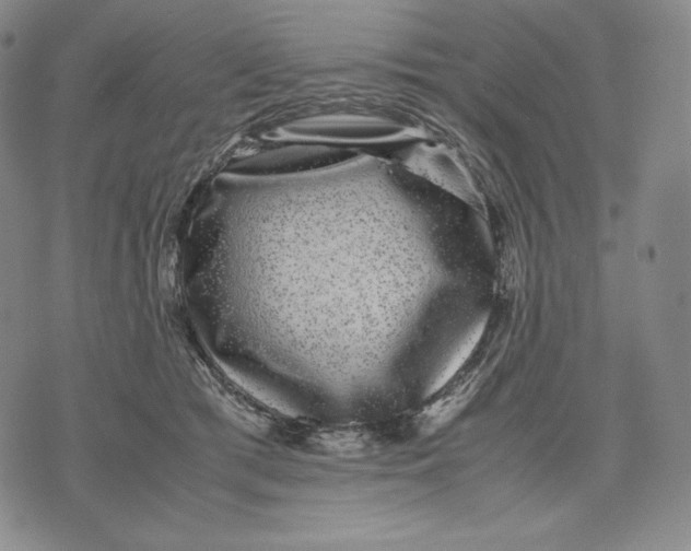 X0000071900417200607281808