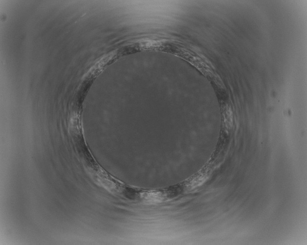 X0000071900419200607281808