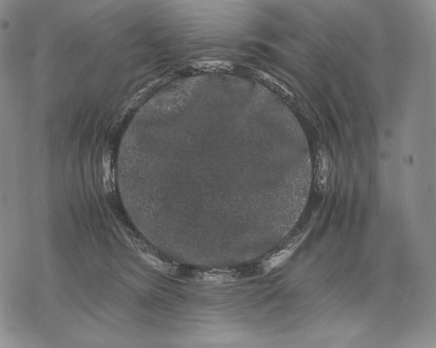 X0000071900420200607281808