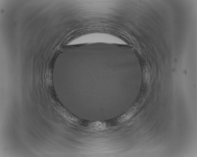 X0000071900421200607281808