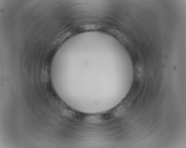 X0000071900422200607281808