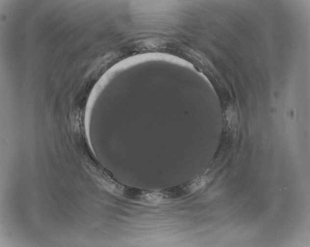 X0000071900423200607281808