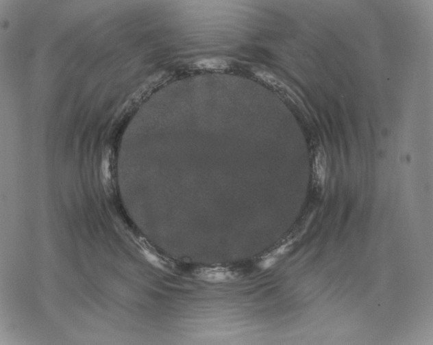 X0000071900424200607281808