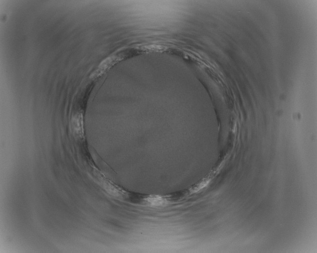 X0000071900425200607281808