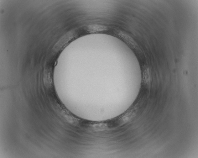 X0000071900426200607281808