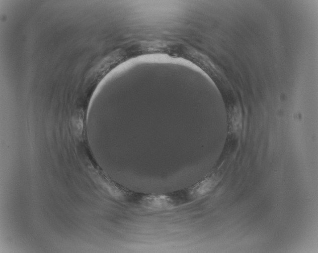 X0000071900427200607281808