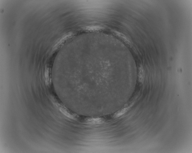 X0000071900428200607281808