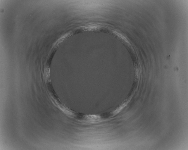 X0000071900429200607281808