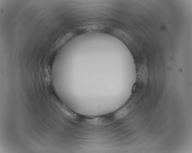 X0000071900430200607281808