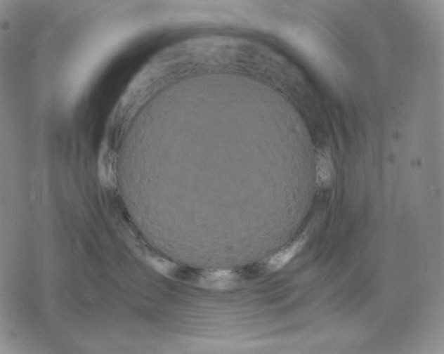 X0000071900431200607281808