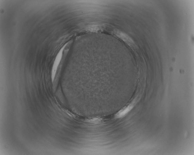 X0000071900432200607281808