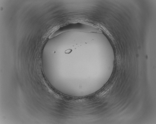 X0000071900433200607281807