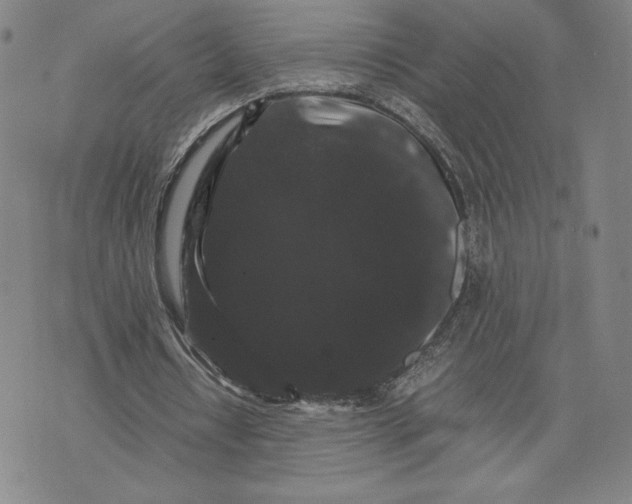 X0000071900434200607281807