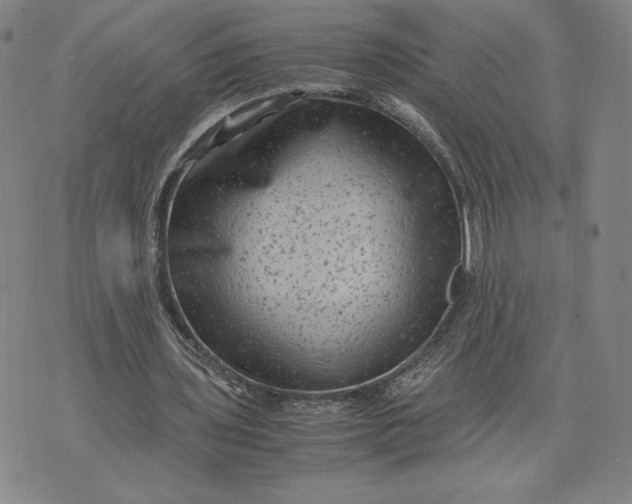 X0000071900435200607281807