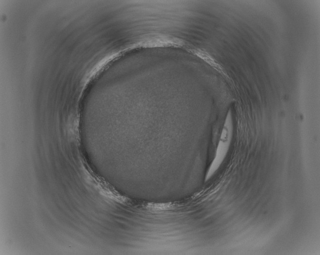 X0000071900440200607281807