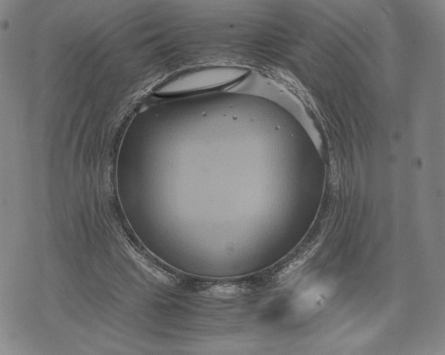 X0000071900441200607281807