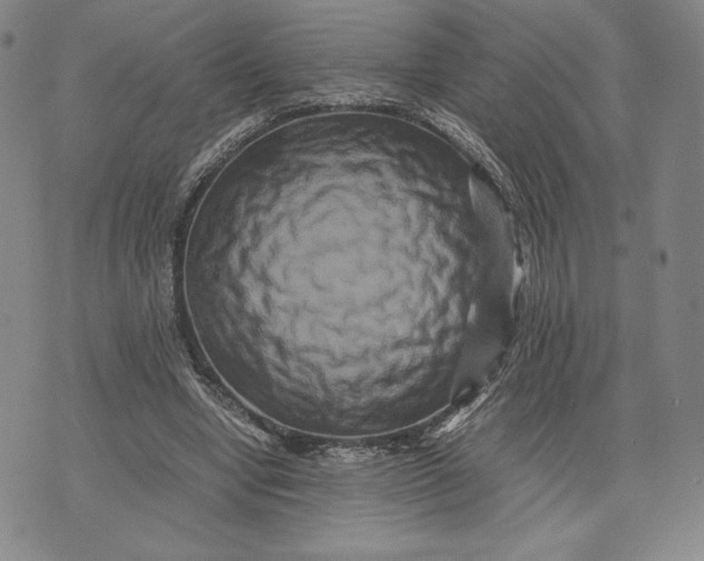 X0000071900442200607281807