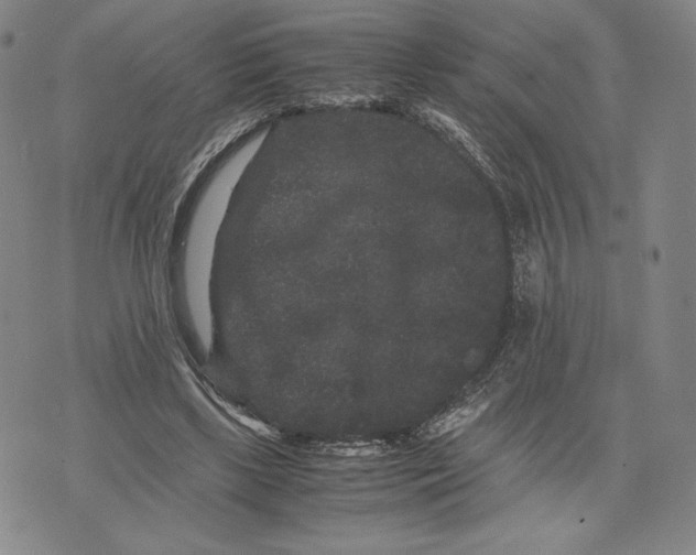 X0000071900443200607281807