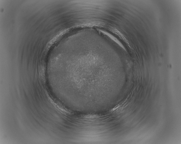 X0000071900444200607281807