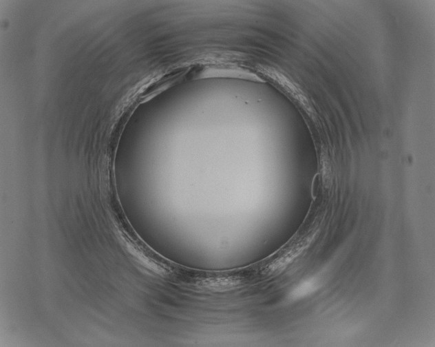 X0000071900445200607281807