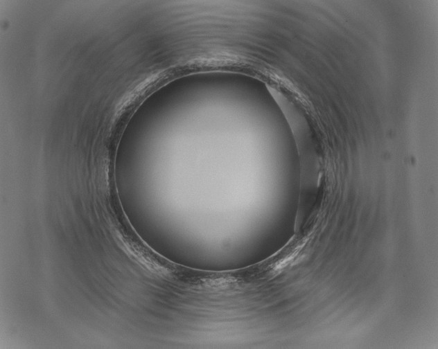 X0000071900446200607281807