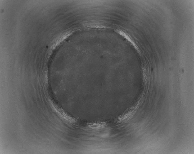 X0000071900447200607281807