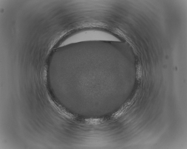 X0000071900448200607281807