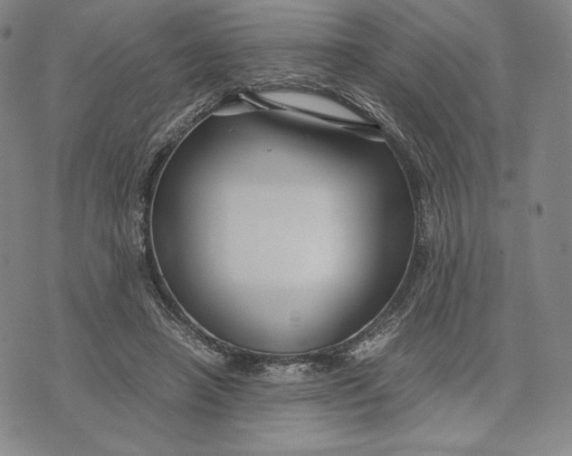 X0000071900450200607281807