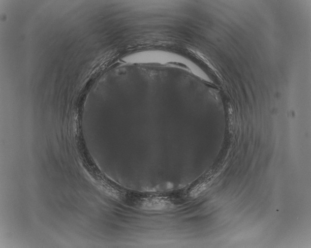 X0000071900451200607281807