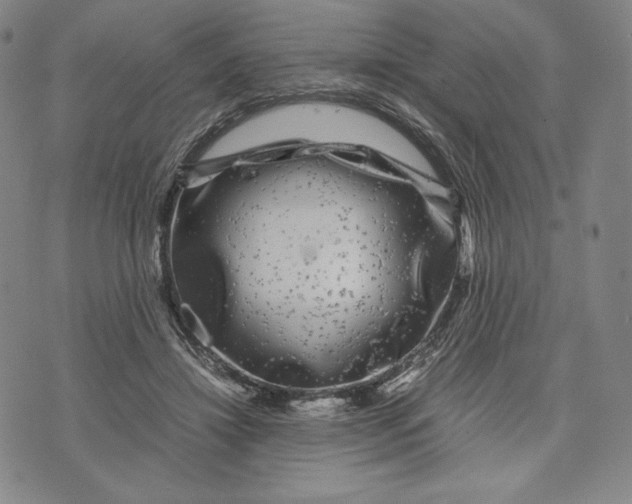 X0000071900452200607281807