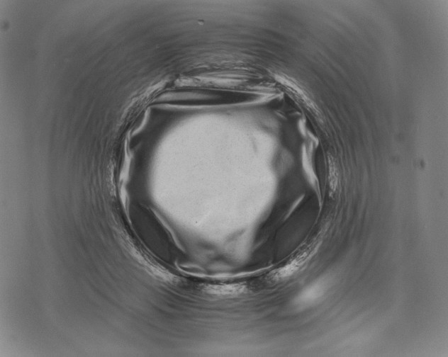 X0000071900453200607281807