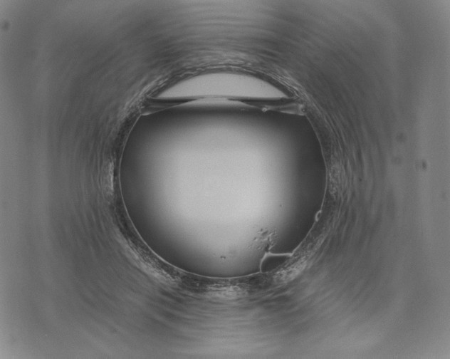 X0000071900454200607281807