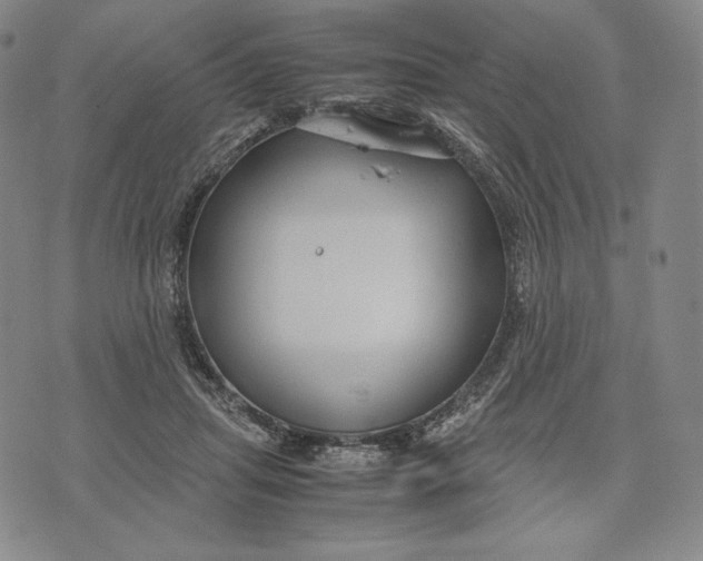 X0000071900455200607281807