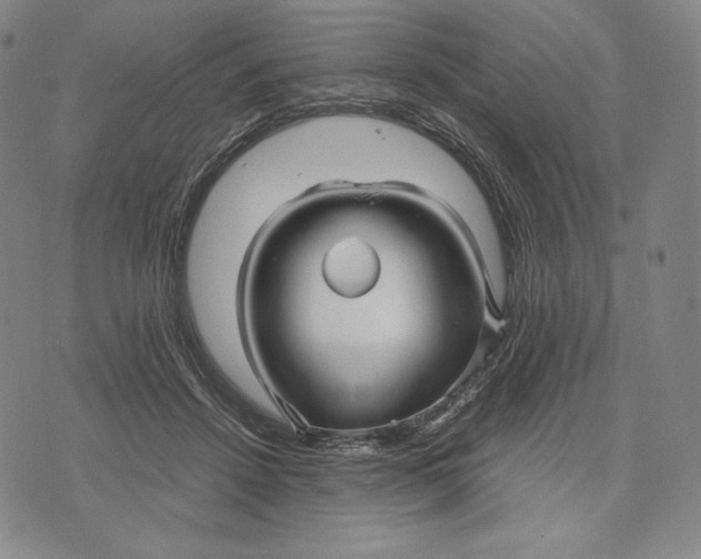 X0000071900456200607281807