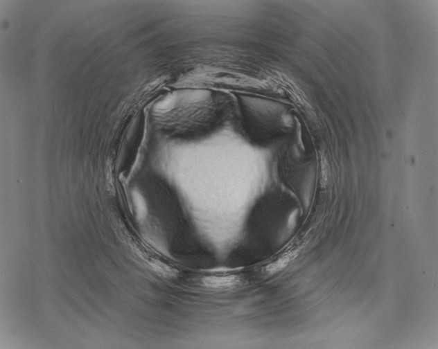 X0000071900457200607281807